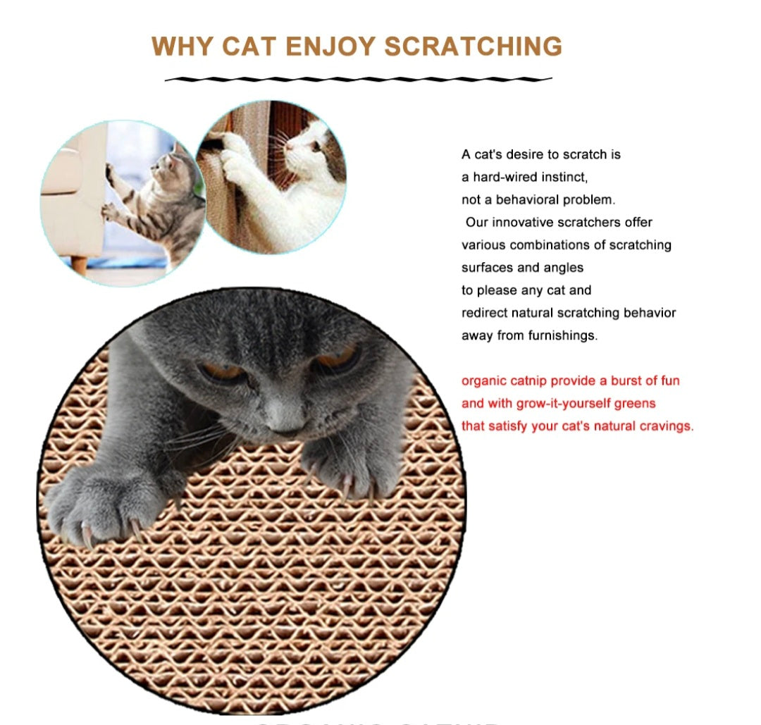 Cat Scratching Board (Slippers)
